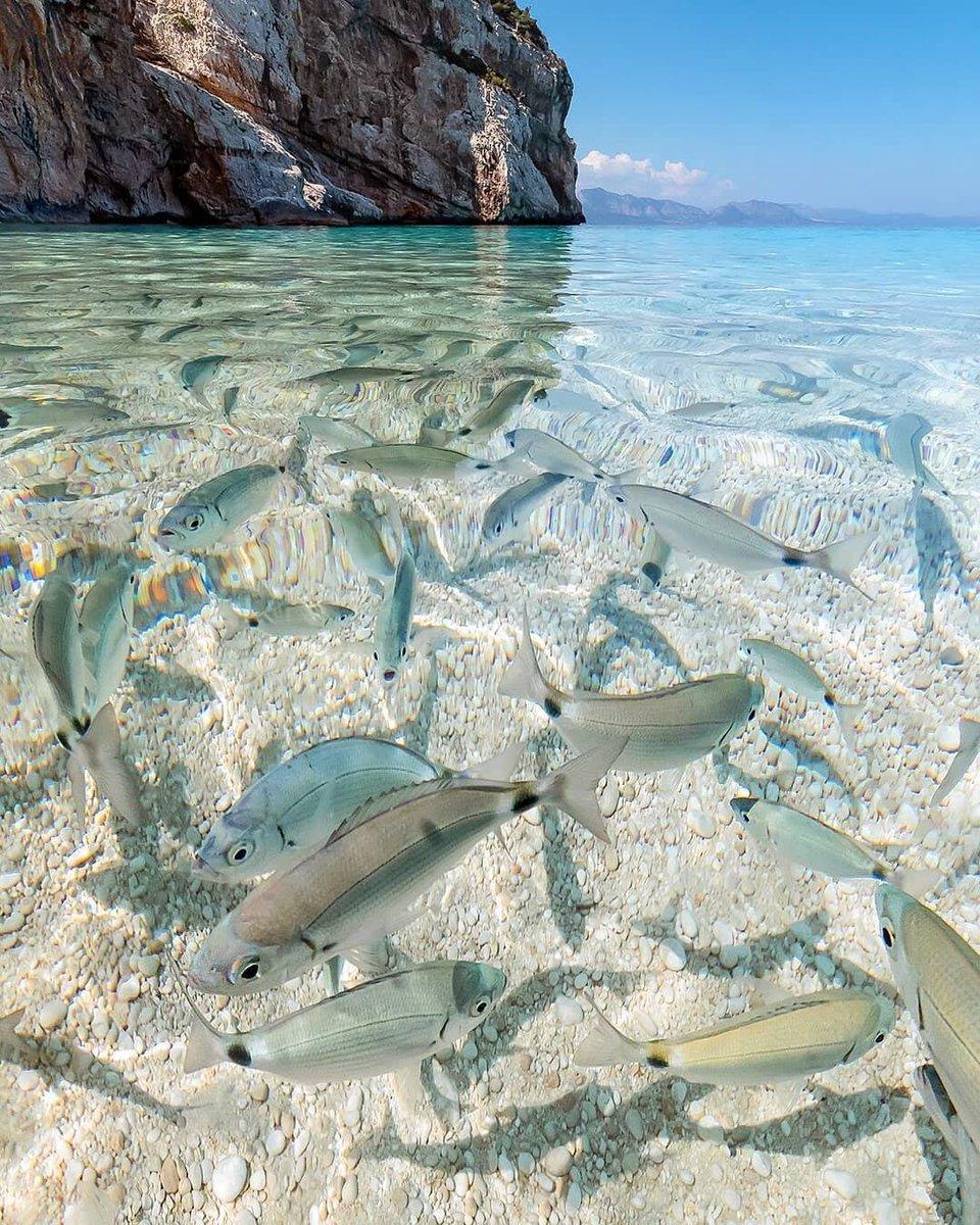 25 Cala Mariolu, Sardinia.jpg