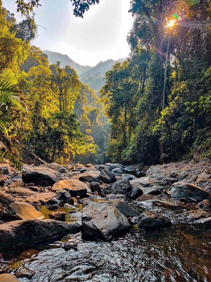 Netravali Waterfalls  Forest.jpg